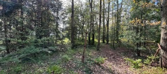 Terreno em Saint-Denis-en-Val, France 1376 m² N.º 262599 2