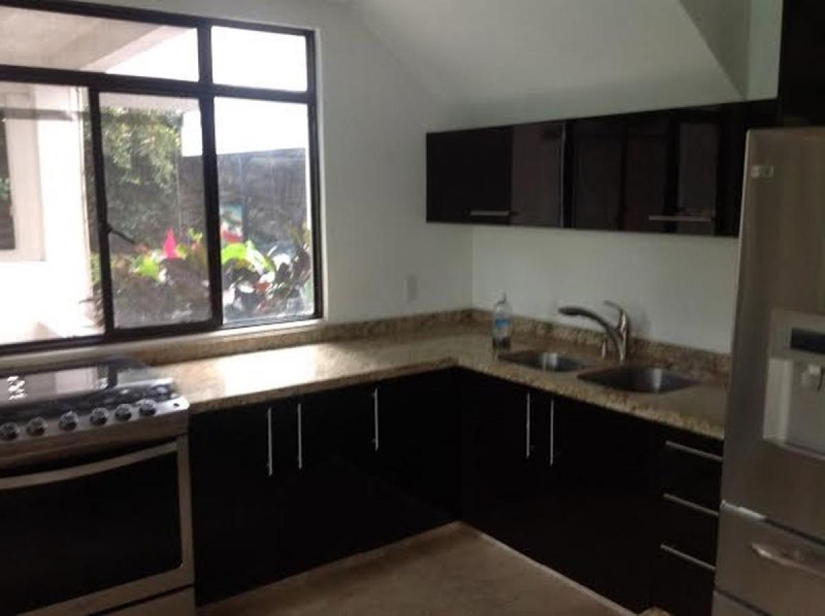 11 Schlafzimmer Haus in Morelos, Mexico, Nr. 187117