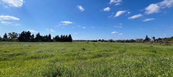  قطعة أرض في Gallipoli, Italy 14000متر مربع رقم 236906 2