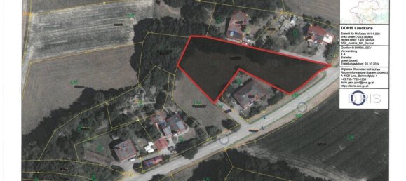  قطعة أرض في Mehrnbach, Austria رقم 130745 6