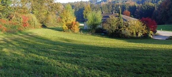  قطعة أرض في Mehrnbach, Austria رقم 130745 5