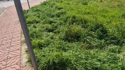 Grundstück in Santa Maria de Palautordera, Spain 162m², Nr. 114369