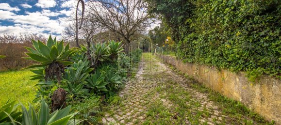 2 bedrooms House in Setubal, Portugal No. 146422 28