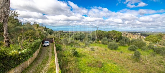 2 bedrooms House in Setubal, Portugal No. 146422 14