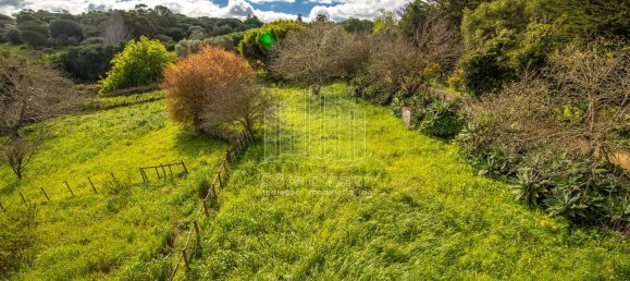 2 bedrooms House in Setubal, Portugal No. 146422 27