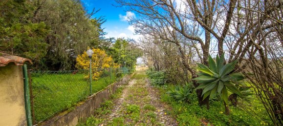 2 bedrooms House in Setubal, Portugal No. 146422 29