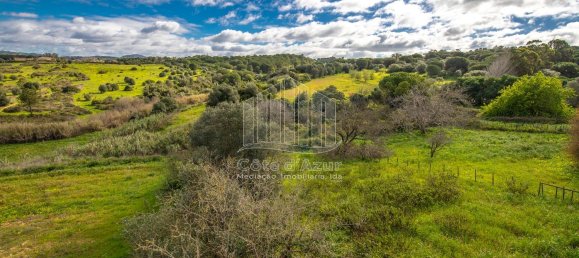 2 bedrooms House in Setubal, Portugal No. 146422 24