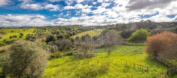 2 bedrooms House in Setubal, Portugal No. 146422 5