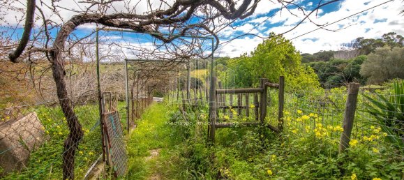 2 bedrooms House in Setubal, Portugal No. 146422 12