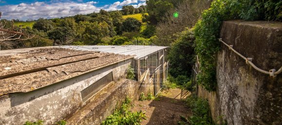 2 bedrooms House in Setubal, Portugal No. 146422 4