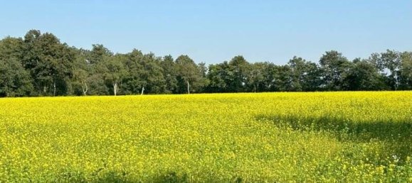 6 rooms House in Oldenburg, Germany No. 126229 2