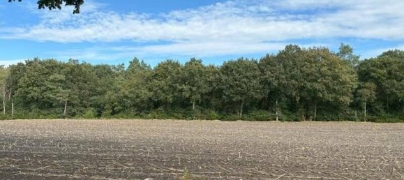 6 rooms House in Oldenburg, Germany No. 126229 32