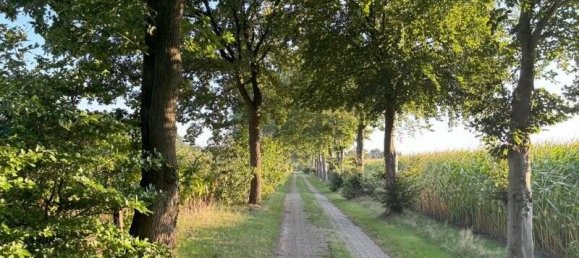 6 rooms House in Oldenburg, Germany No. 126229 20