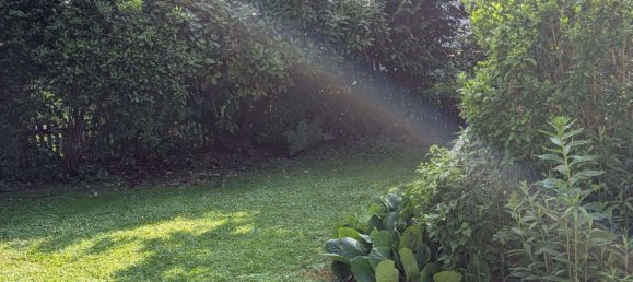 Adosado de 6 habitaciónes en Lorrach, Germany No. 240394 22