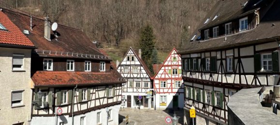 Edificio de 40 habitaciónes en Goppingen, Germany No. 45771 18