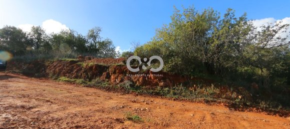 Commercial property in Silves, Portugal No. 138931 13