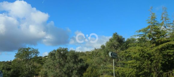 Commercial property in Silves, Portugal No. 138931 14