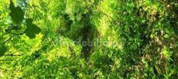 Дом с 5 комнатами в Кортенова, Италия № 359344 19