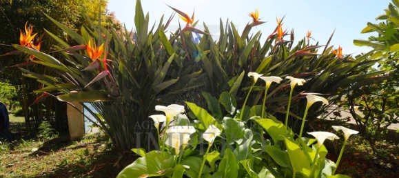 Вилла с 4 спальнями в Валлебона, Италия № 161597 47