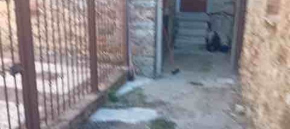 Квартира с 5 комнатами в Чиниджано, Италия № 289632 22