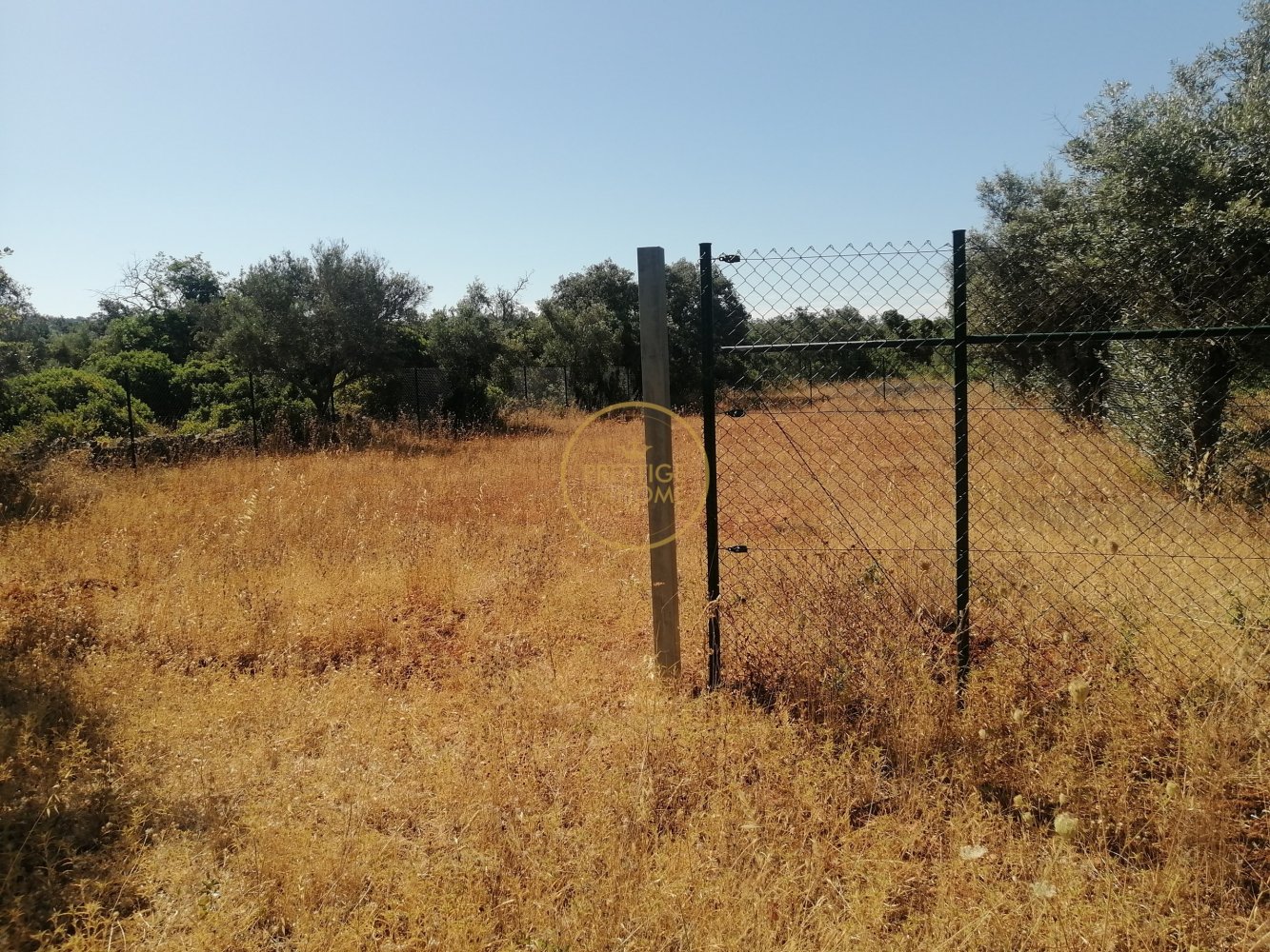 1100m² Land in Loule, Portugal No. 307554