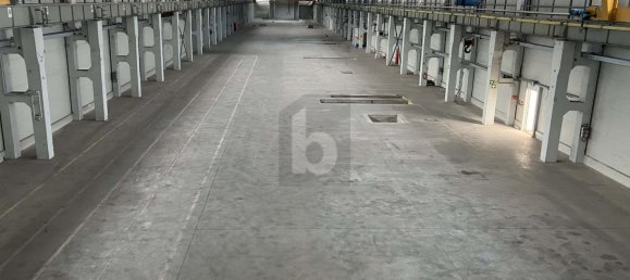 Коммерческая недвижимость 7513м² в Зале, Германия № 254270 3