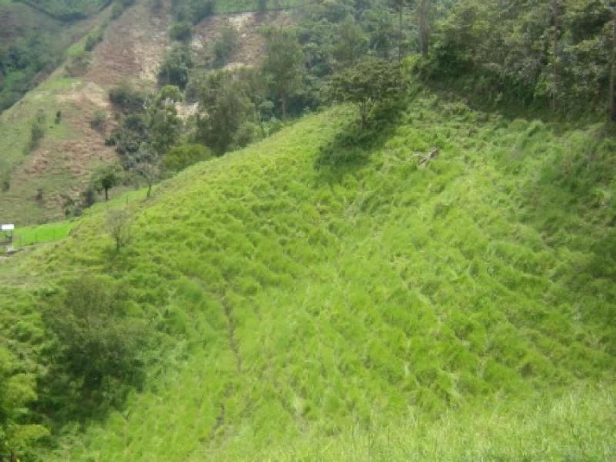 Casa de 5 dormitorios en Antioquia, Colombia No. 6524