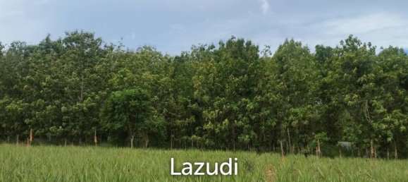  Commercial property in Hua Hin, Thailand No. 17081 5