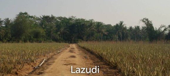  Commercial property in Hua Hin, Thailand No. 17081 2