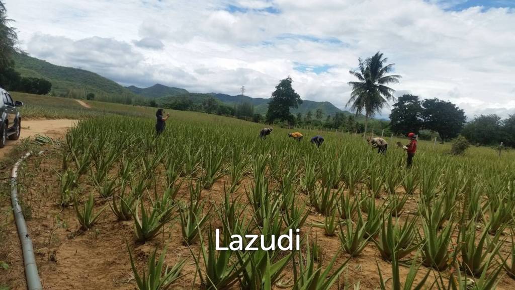  Commercial property in Hua Hin, Thailand No. 17081