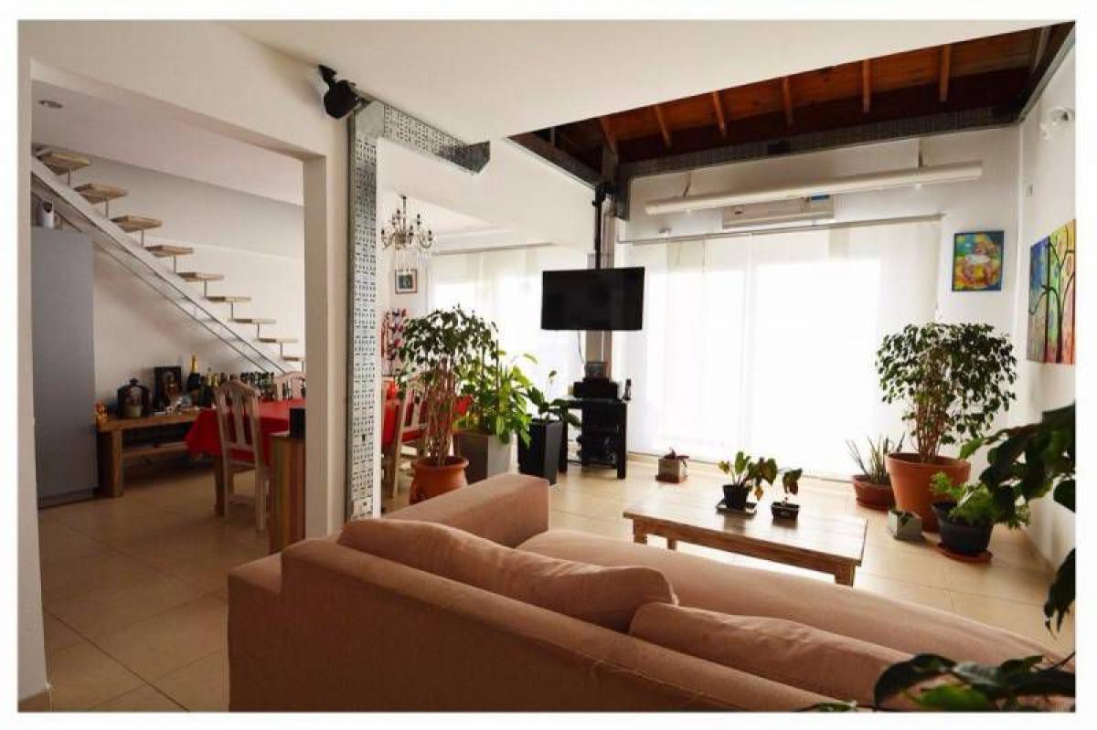 Studio in Tigre, Argentina No. 60727