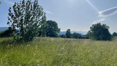 Grundstück in Feistritz im Rosental, Austria, Nr. 165976