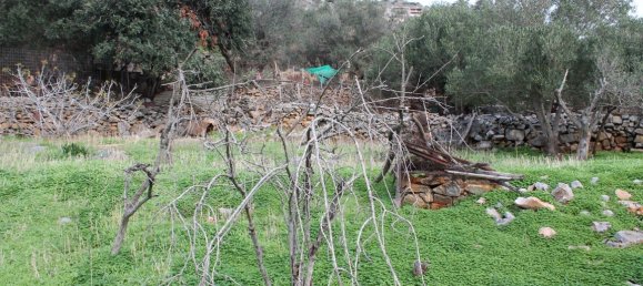 Hotel in Agios Nikolaos, Greece 580m², Nr. 5282 2