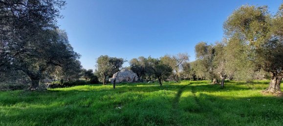 Земельный участок с 1 комнатой в Каровиньо, Италия № 116884 10