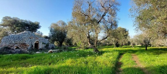 Земельный участок с 1 комнатой в Каровиньо, Италия № 116884 3