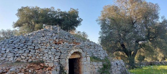 Земельный участок с 1 комнатой в Каровиньо, Италия № 116884 9