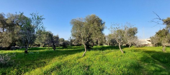 Земельный участок с 1 комнатой в Каровиньо, Италия № 116884 5