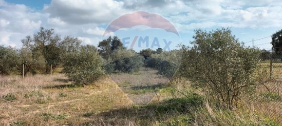 قطعة أرض في Pinhal Novo, Portugal 33750متر مربع رقم 81473 23