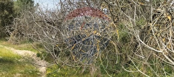 قطعة أرض في Pinhal Novo, Portugal 33750متر مربع رقم 81473 19