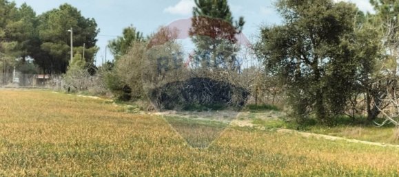 قطعة أرض في Pinhal Novo, Portugal 33750متر مربع رقم 81473 20