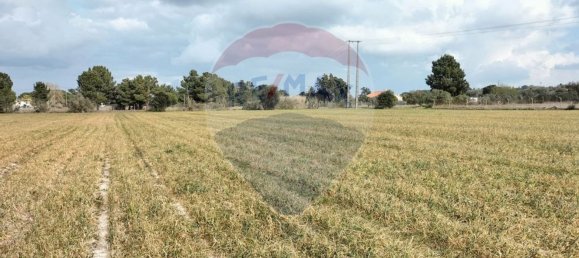 قطعة أرض في Pinhal Novo, Portugal 33750متر مربع رقم 81473 6