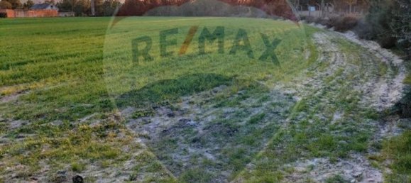 قطعة أرض في Pinhal Novo, Portugal 33750متر مربع رقم 81473 10