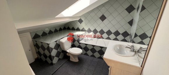 Дуплекс с 3 спальнями в Мюлуз, Франция № 80871 9