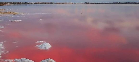 2 bedrooms Penthouse in Torrevieja, Spain No. 9672 27