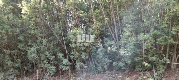 Terreno en Amarante, Portugal 2550 m² No. 56123 7