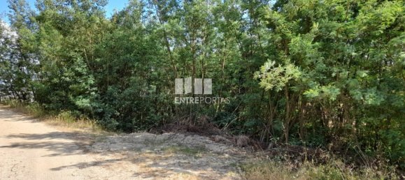 Terreno en Amarante, Portugal 2550 m² No. 56123 29