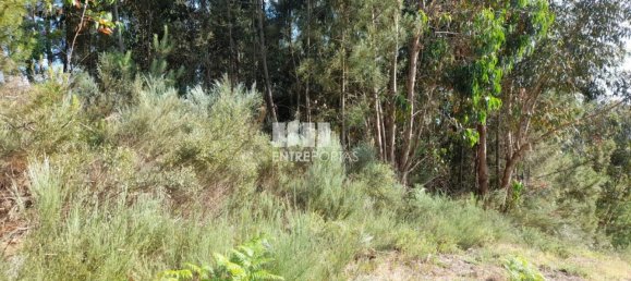 Terreno en Amarante, Portugal 2550 m² No. 56123 21