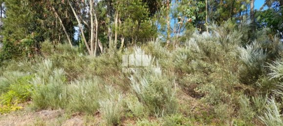 Terreno en Amarante, Portugal 2550 m² No. 56123 12