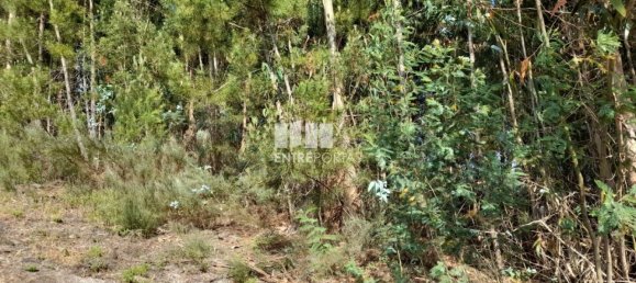 Terreno en Amarante, Portugal 2550 m² No. 56123 26