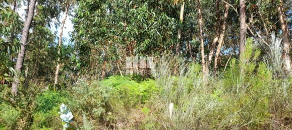 Terreno en Amarante, Portugal 2550 m² No. 56123 4